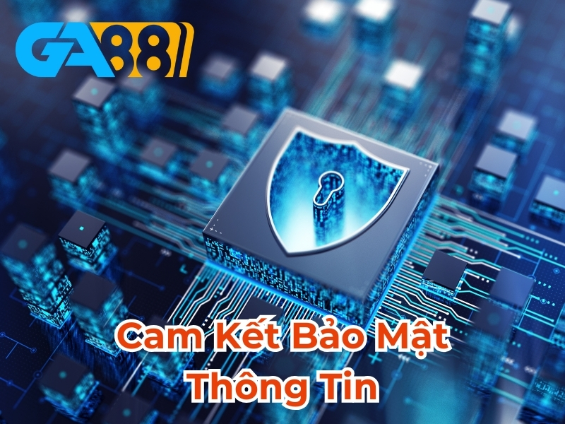 Cam kết bảo mật thông tin