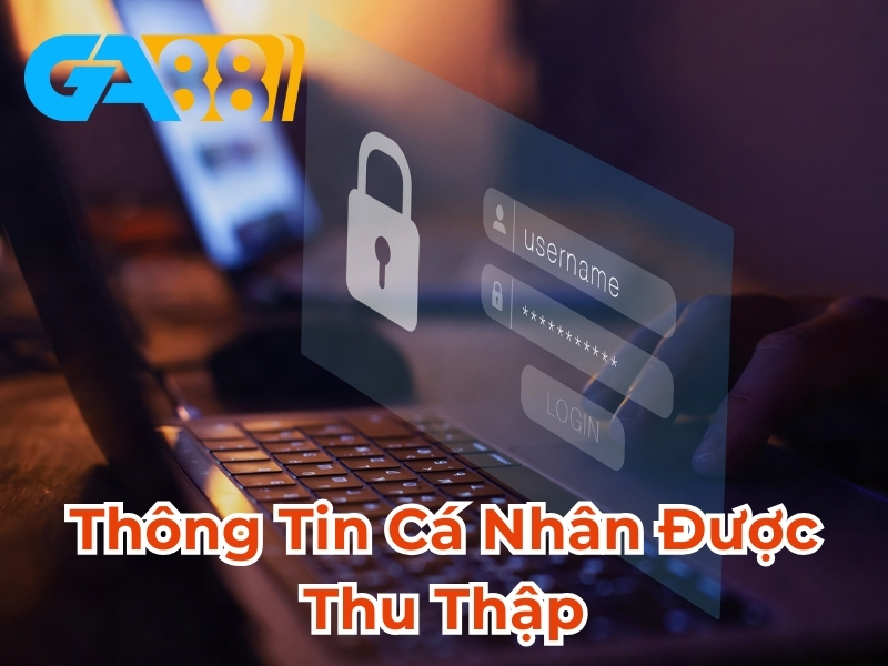 Thông tin cá nhân được thu thập